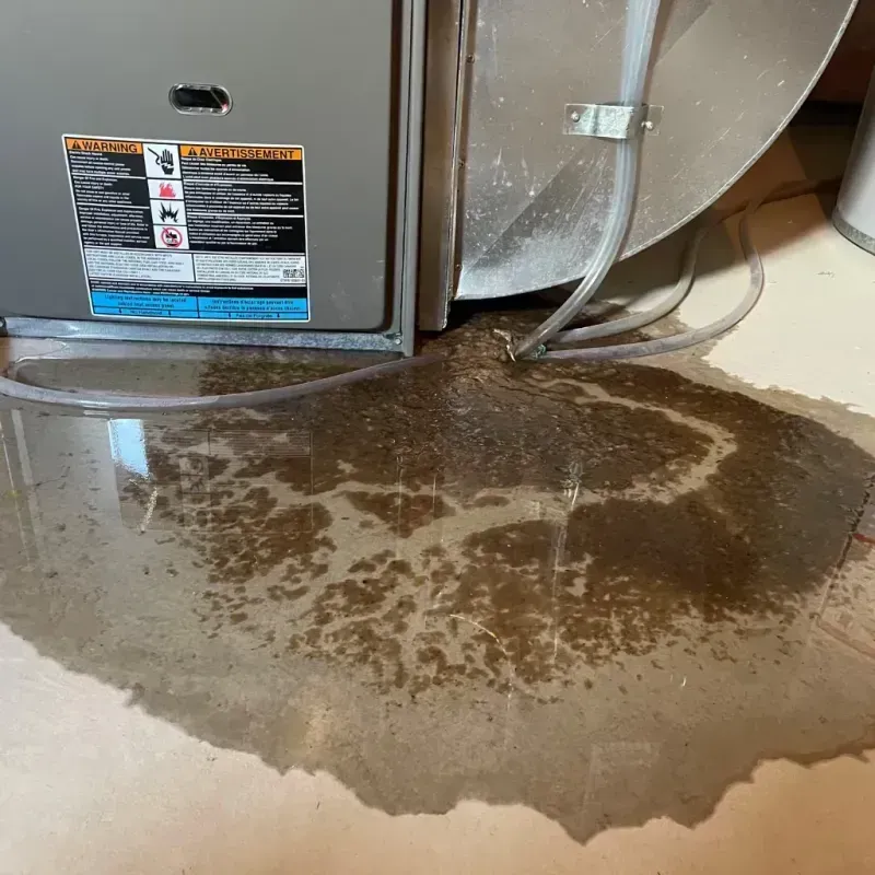 Appliance Leak Cleanup in Greenville, DE